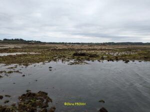 La route est longue vers La Corne