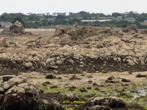 L'estran de Port Béni à Pleubian